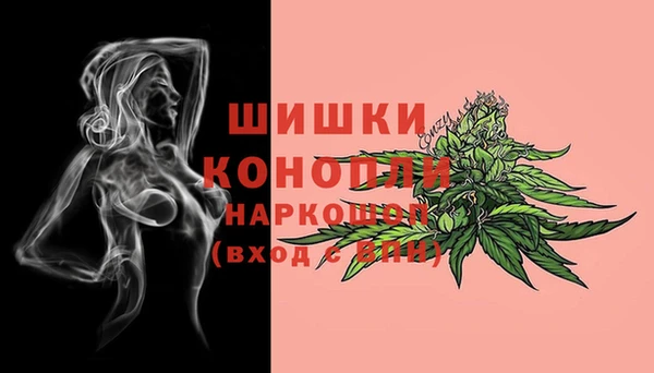 гидропоника Вяземский