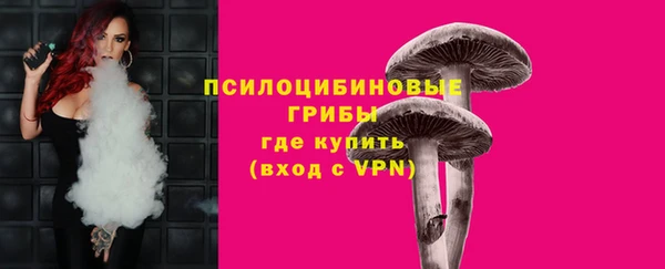гидропоника Вяземский