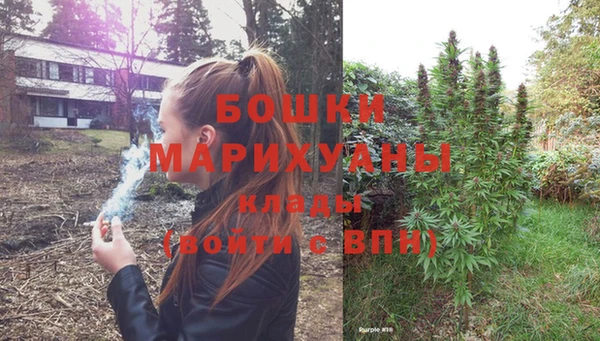 бошки Вязьма