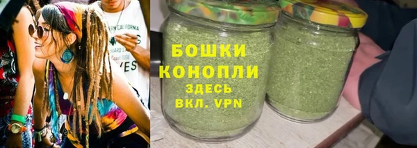 ПСИЛОЦИБИНОВЫЕ ГРИБЫ Горнозаводск